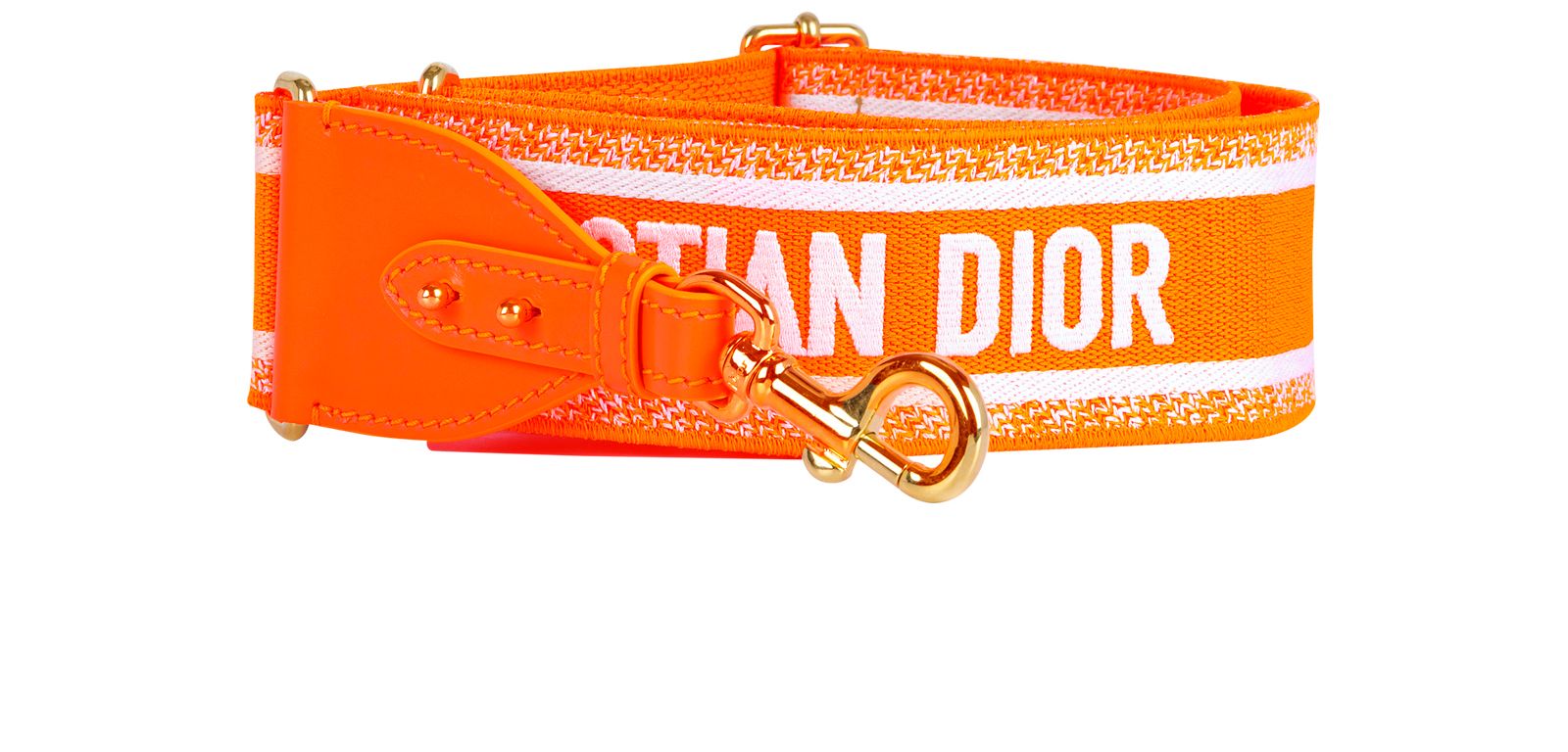 Dior store handbag strap